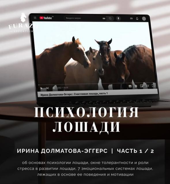Лекция: Психология лошади _ Часть 1. Стресс и общение лошади с человеком